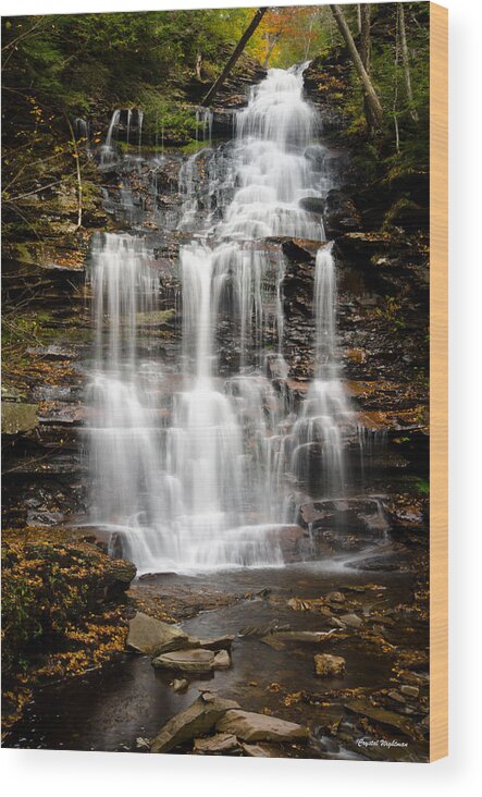 Cascade Waterfalls Wood Print featuring the photograph Waterfall at Ricketts Glen by Crystal Wightman