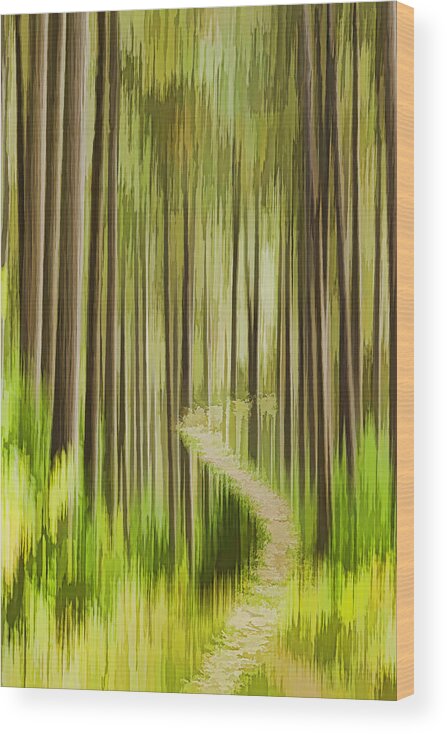 Forest Wood Print featuring the photograph Autumn Forest Abstract Version 3 by Thomas Young