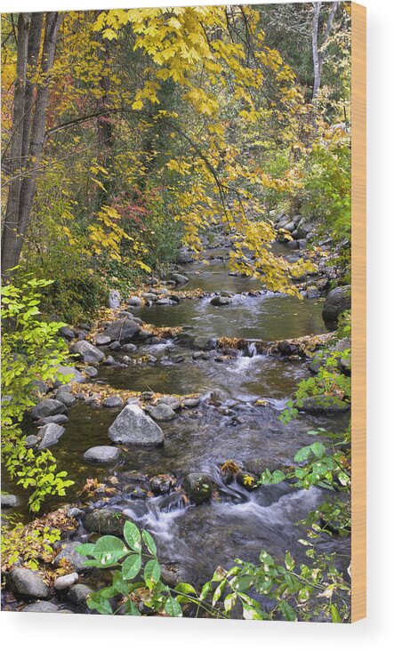 Loree Johnson Wood Print featuring the photograph Autumn in Lithia Park by Loree Johnson