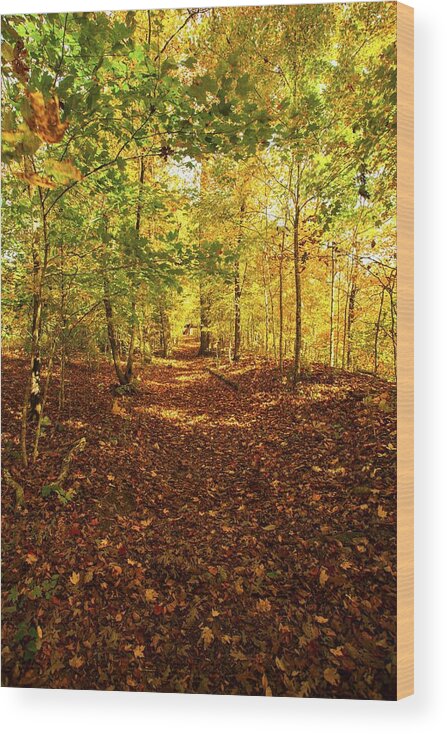 Autumn Leaves Wood Print featuring the photograph Autumn Leaves Pathway by Jerry Cowart
