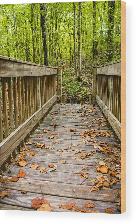 Autumn On The Bridge Wood Print featuring the photograph Autumn on the Bridge by Parker Cunningham