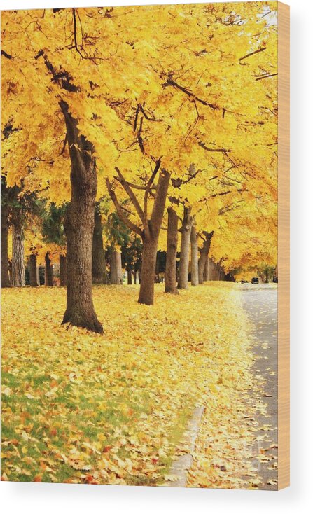 Carol Groenen Wood Print featuring the photograph Autumn Perspective by Carol Groenen