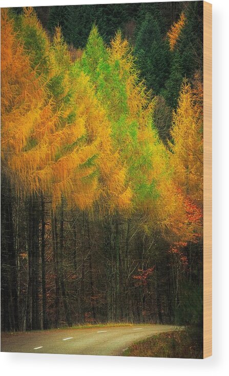 Road Wood Print featuring the photograph Autumnal Road by Maciej Markiewicz