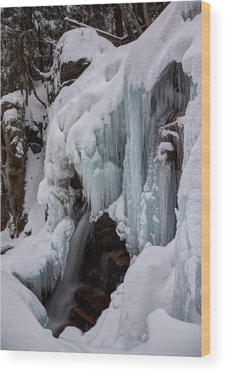 New Hampshire Wood Print featuring the photograph Avalanche Falls in Winter by White Mountain Images