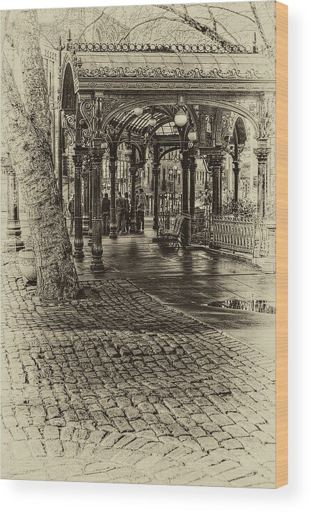 The Pergola Wood Print featuring the photograph Back in Time by David Patterson