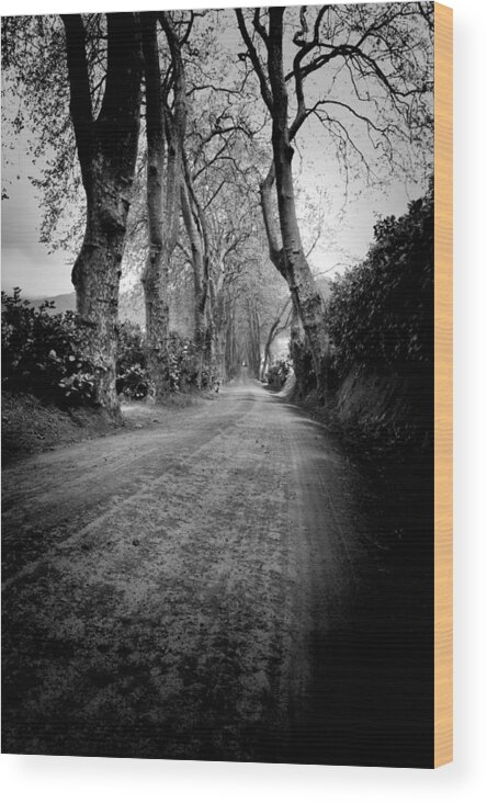 Acores Wood Print featuring the photograph Back Road East by Joseph Amaral