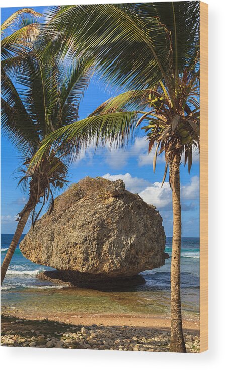Barbados Wood Print featuring the photograph Barbados Beach by Raul Rodriguez