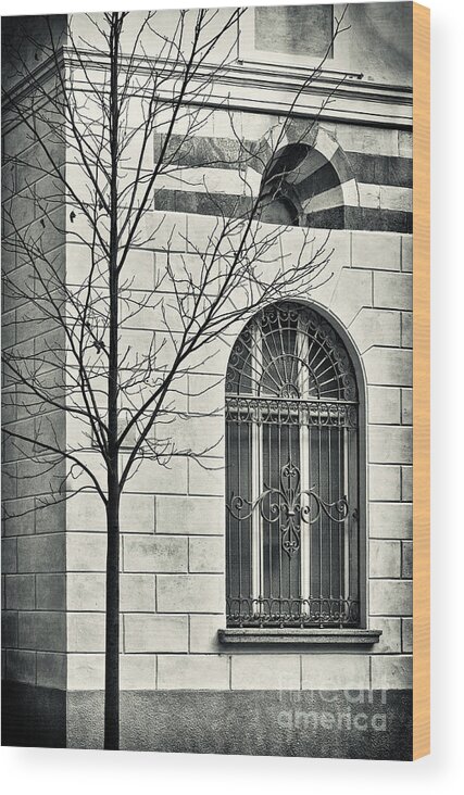 Black And White Wood Print featuring the photograph Bare tree with window by Silvia Ganora