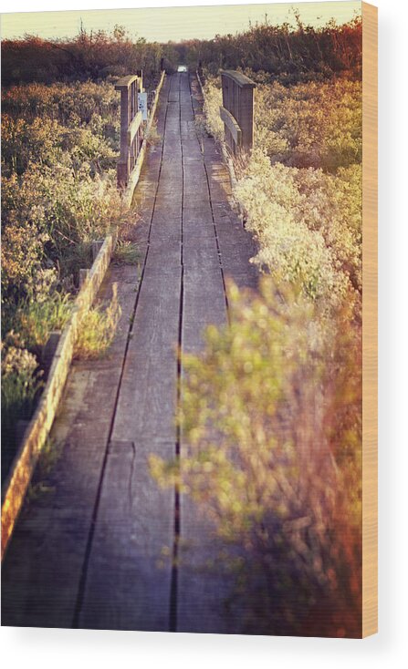 Baylands Wood Print featuring the photograph Bay Lands Walk by Kathleen Messmer