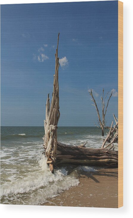 South Carolina Wood Print featuring the photograph Beach Magic by Patricia Schaefer