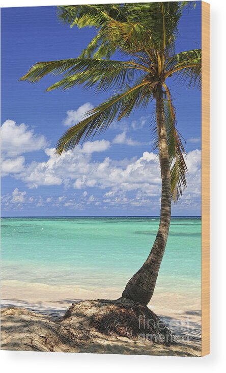 Beach Wood Print featuring the photograph Beach of a tropical island by Elena Elisseeva