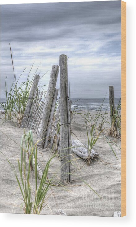 Beach Wood Print featuring the photograph Beach Path by Sarah Schroder