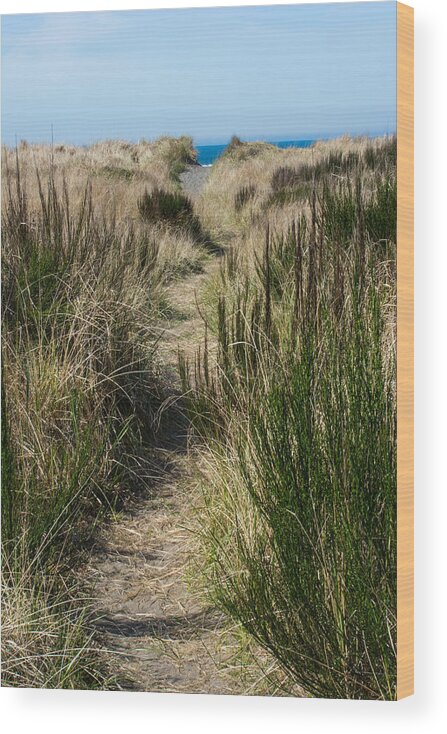 Westport Beach Wood Print featuring the photograph Beach Trail by Tikvah's Hope