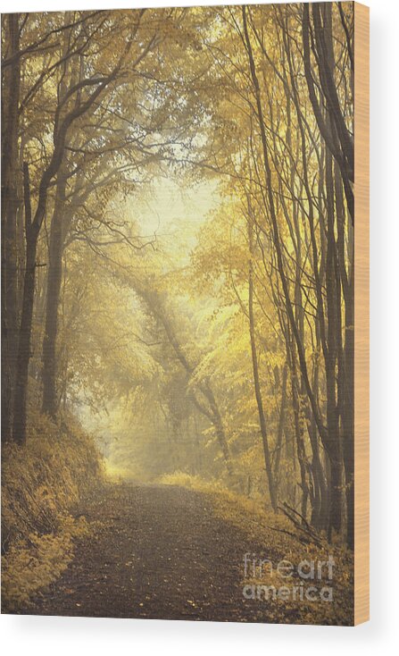 Alley Wood Print featuring the photograph Beautiful Fall by Evelina Kremsdorf