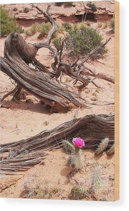 Utah Wood Print featuring the photograph Beauty Blooming by Bob and Nancy Kendrick
