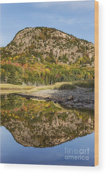 Acadia Wood Print featuring the photograph Beehive Mountain Acadia by John Greim