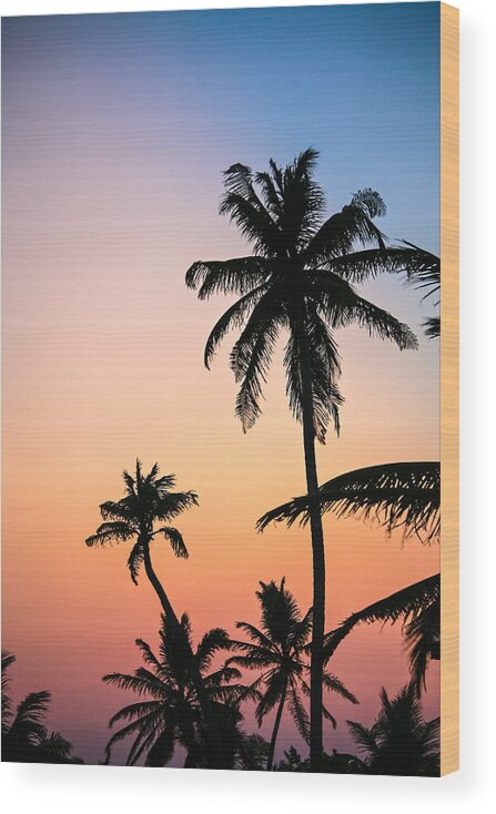 Belize Wood Print featuring the photograph Belize Palms by Randy Green