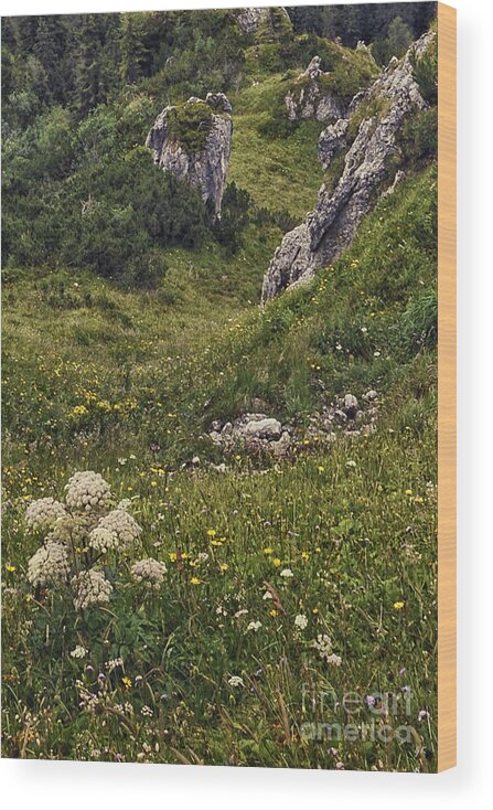 Landscape Wood Print featuring the photograph Berchtesgaden National Park Germany by Gerlinde Keating - Galleria GK Keating Associates Inc