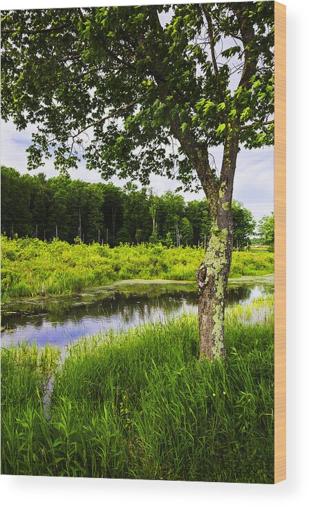 Landscape Wood Print featuring the photograph Bethel Landscape 3 by Madeline Ellis