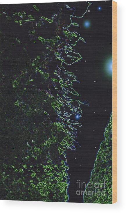 First Star Art Wood Print featuring the photograph Between the Hedges by First Star Art