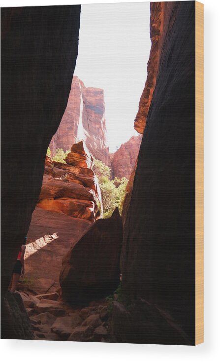 Rocks Wood Print featuring the photograph Between the rocks in Zion by Jeff Swan