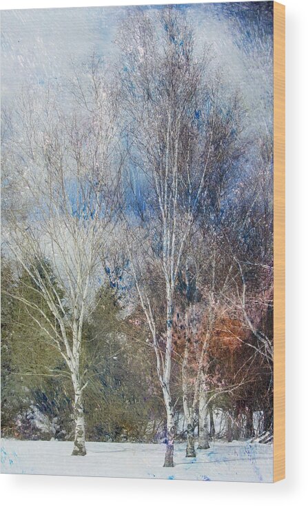 Birch Wood Print featuring the digital art Birches Winter and Abstract Painting 1 by Anita Burgermeister