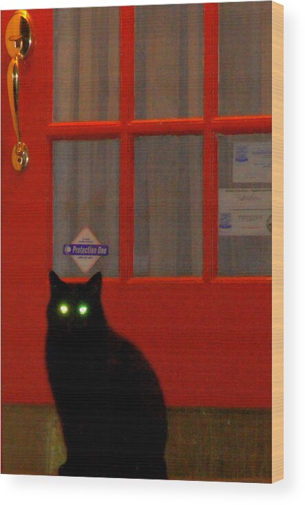 Cat Wood Print featuring the photograph Black Cat Red Door by DerekTXFactor Creative
