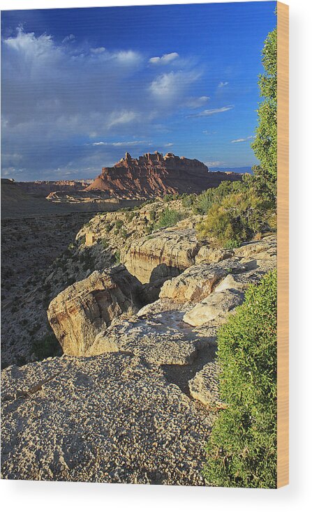 Landscape Wood Print featuring the photograph Black Dragon Canyon Vista by Gary Kaylor