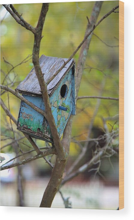 2872 Wood Print featuring the photograph Blue Birdhouse by Gordon Elwell