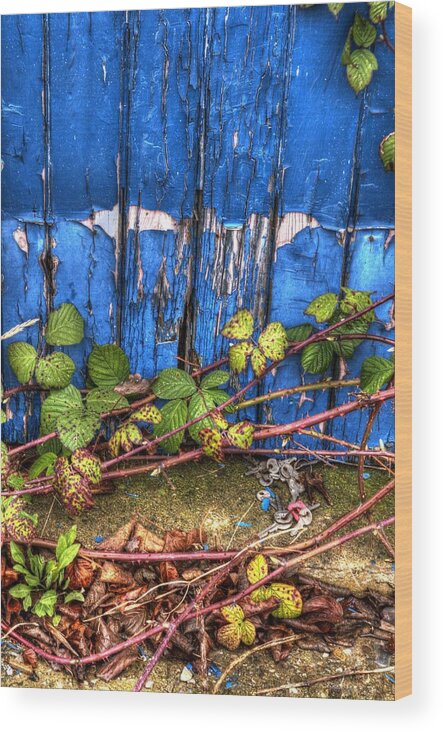 Blue Wood Print featuring the photograph Blue door by Spikey Mouse Photography