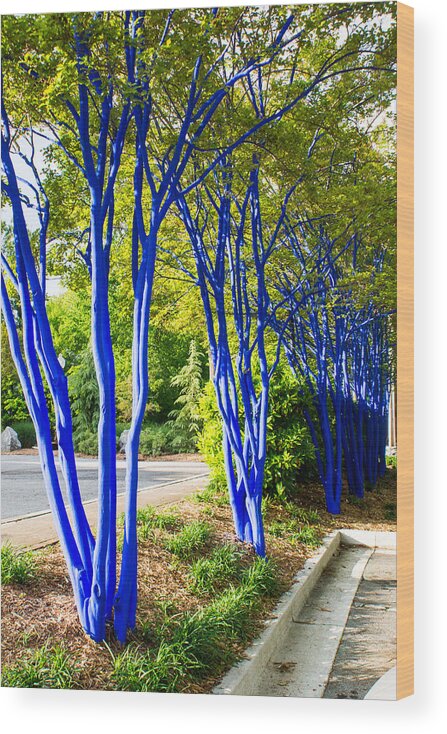 Blue Wood Print featuring the photograph Blue Trunked Trees 2 by Douglas Barnett