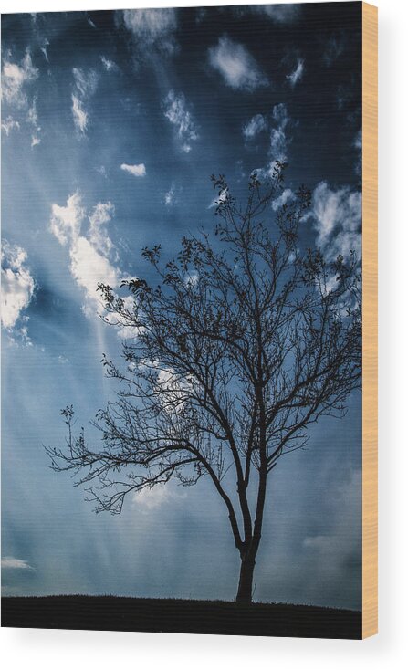 Blue Winds Wood Print featuring the photograph Blue Winds by Karol Livote