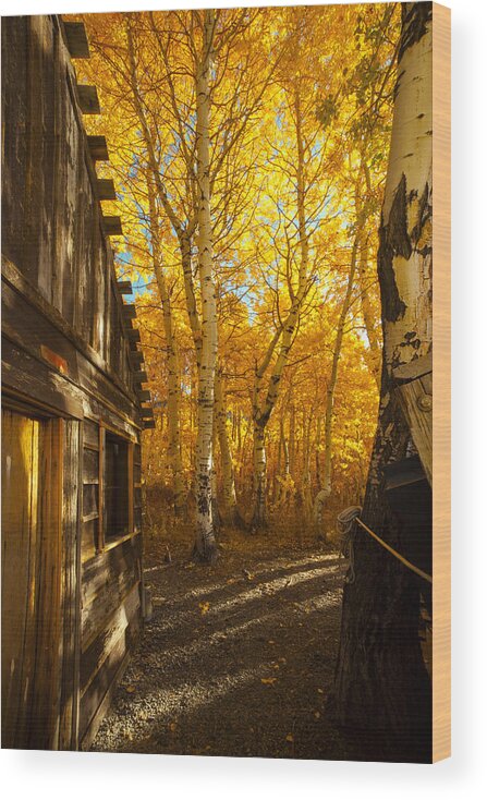 Boat House Among The Autumn Leaves Wood Print featuring the photograph Boat House Among The Autumn Leaves by Jerry Cowart