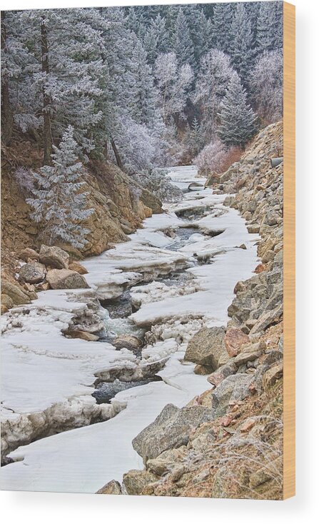 Winter Wood Print featuring the photograph Boulder Creek Frosted Snowy Portrait View by James BO Insogna