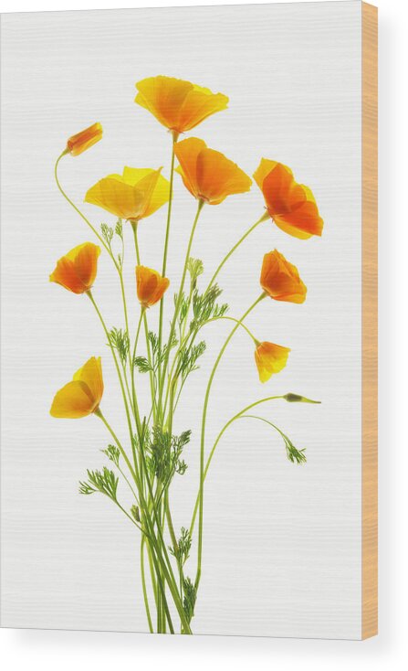 Flowers Wood Print featuring the photograph Bouquet de Fleurs by Leda Robertson