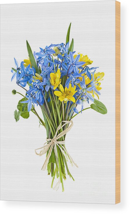 Flowers Wood Print featuring the photograph Bouquet of fresh spring flowers by Elena Elisseeva