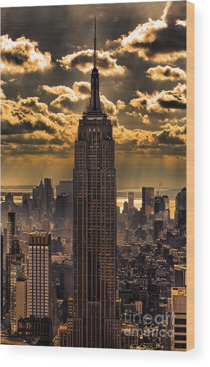 Empire State Building Wood Print featuring the photograph Brilliant But Hazy Manhattan Day by John Farnan
