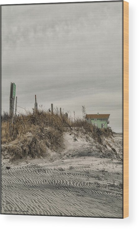 Beach Wood Print featuring the photograph BroadKill Beach by Erika Fawcett