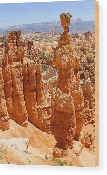 Desert Wood Print featuring the photograph Bryce Canyon 2 by Mike McGlothlen