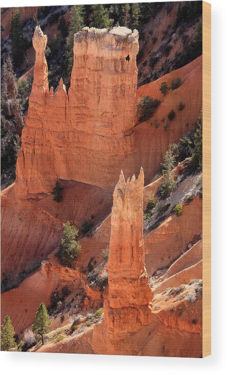 Aidan Moran Wood Print featuring the photograph Bryce Canyon National Park - Utah - North America by Aidan Moran