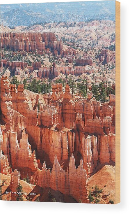 Bryce Canyon Colorful Site Wood Print featuring the photograph Bryce Canyon Colorful Site by Tom Janca