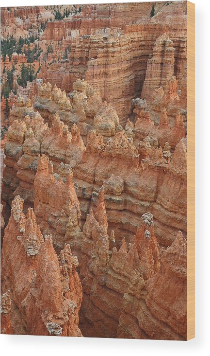 Bryce Canyon Photographs Wood Print featuring the photograph Bryce Canyon National Park Formations with Trees by Bruce Gourley