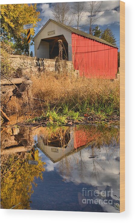 Erwinna Wood Print featuring the photograph Bucks County Swamp Creek Reflections by Adam Jewell