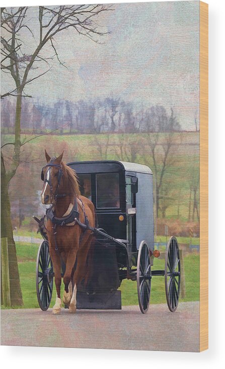 Buggy Wood Print featuring the photograph Buggy Ride by Jean-Pierre Ducondi