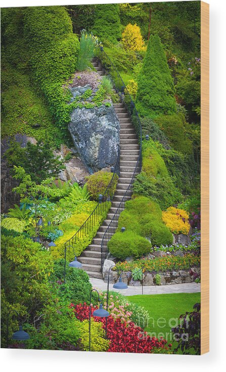 America Wood Print featuring the photograph Butchart Gardens Stairs by Inge Johnsson