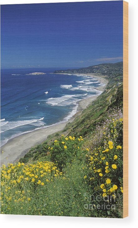 Vertical Wood Print featuring the photograph Cachagua Coastline Chile by Craig Lovell
