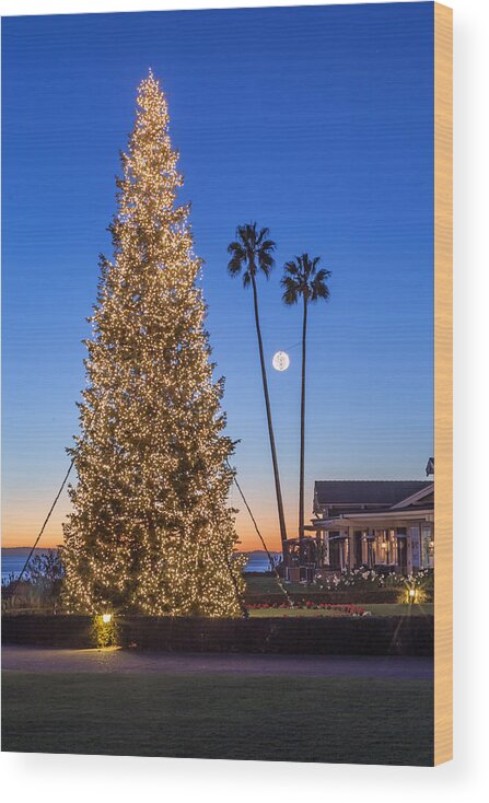 Christmas Tree Wood Print featuring the photograph California Christmas by Cliff Wassmann