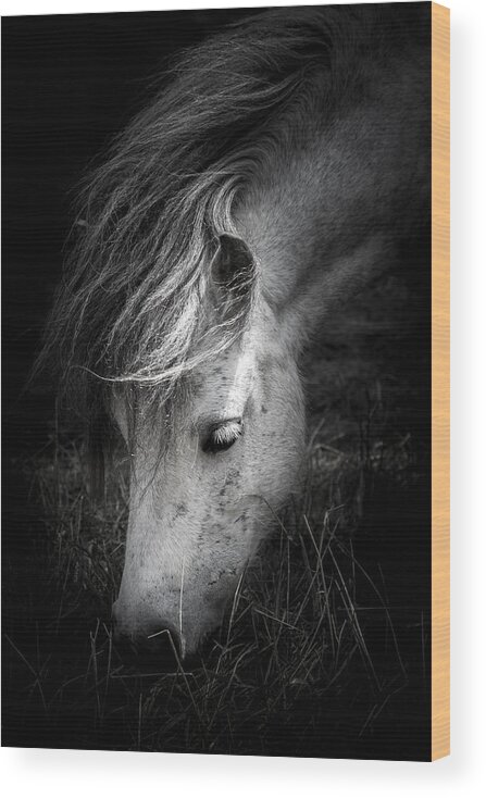Horse Wood Print featuring the photograph Call Me The Wind by Shane Holsclaw