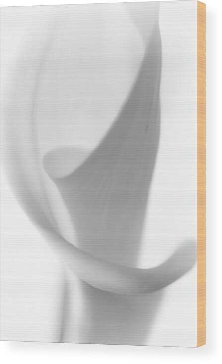 Black And White Wood Print featuring the photograph Calla Lily by Jonathan Nguyen