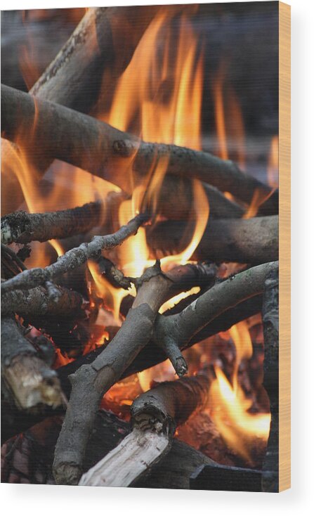 Fire Wood Print featuring the photograph Campfire by Vadim Levin